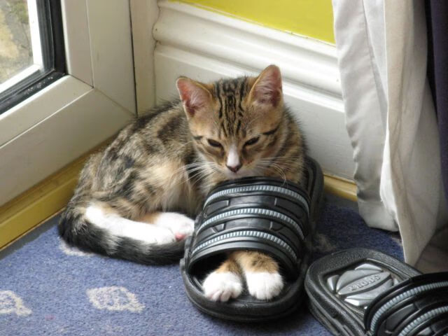 “英超锋线火热，球员爆发助球队前行”，英超 前瞻