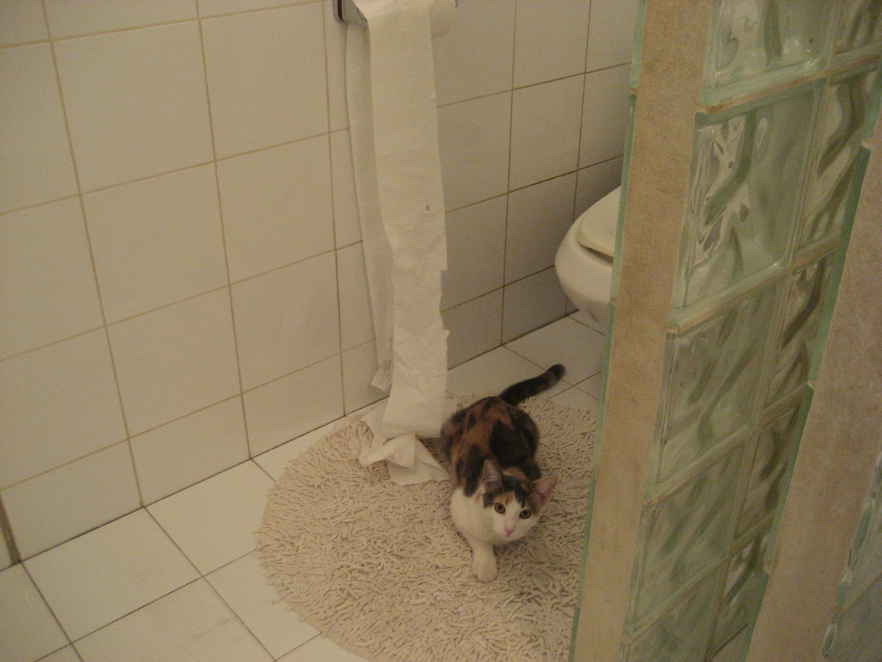 开云体育网页入口-“足球场新建项目落地，助力推广全民运动”，新建足球场政策