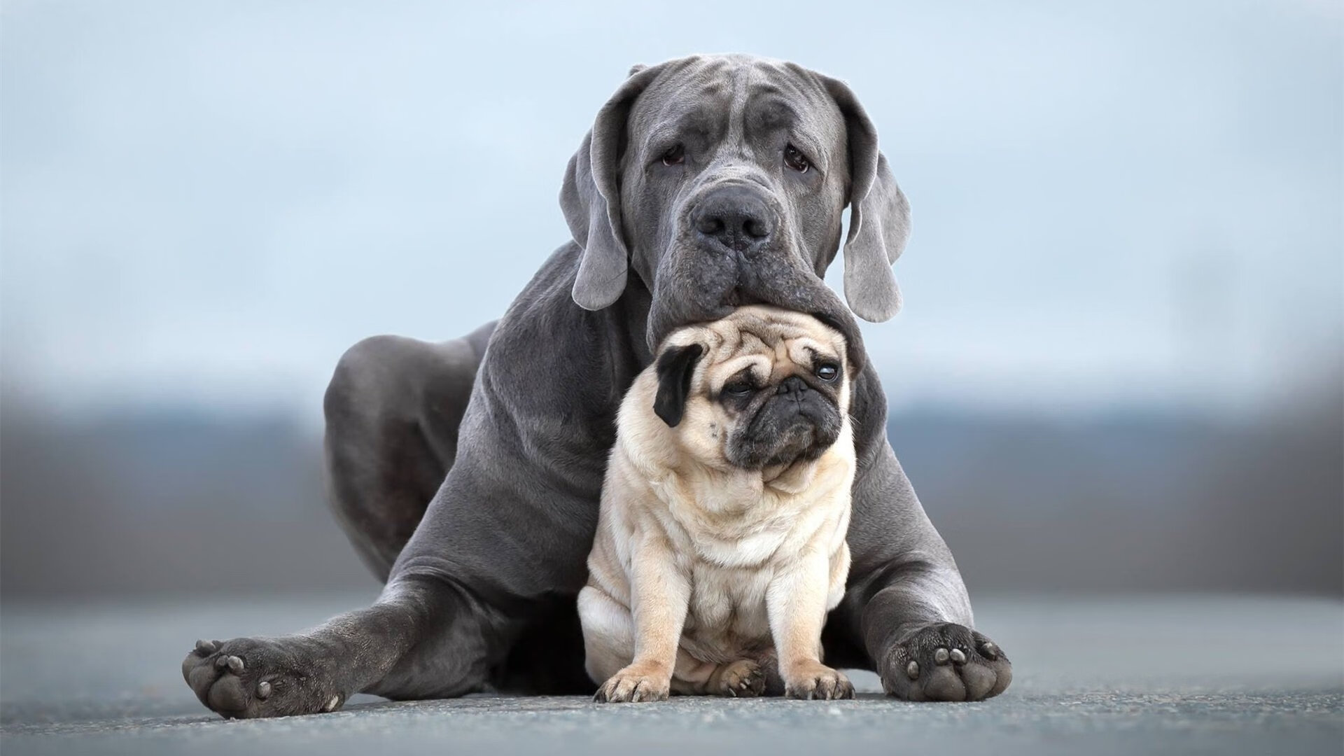 开云·Kaiyun网页版-《电子竞技的未来已来：5G加持体验提升》，电子竞技未来展望