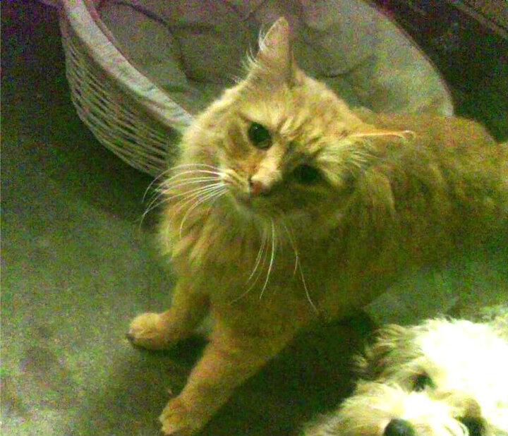 开云体育中国官方网站-库里：在“长距离”战场上，成为最难防守的“射手”！，库里防守什么水平